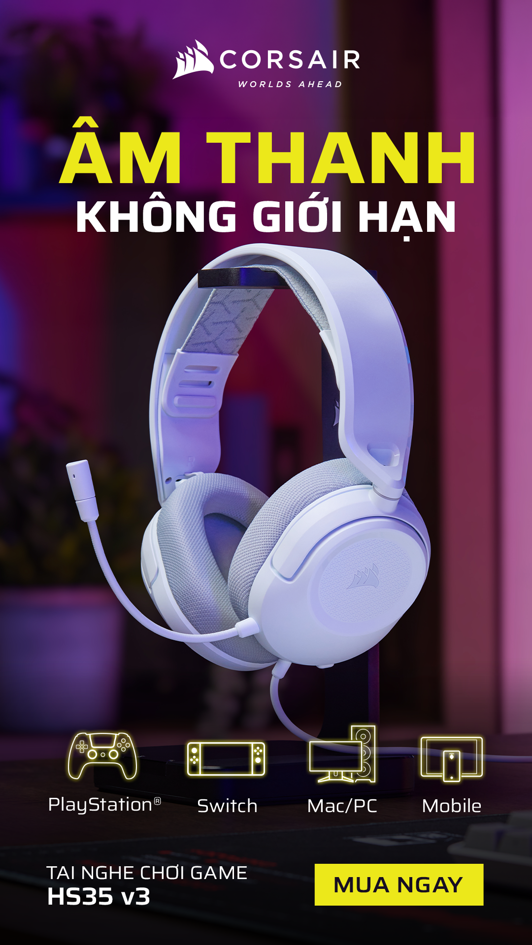 Tin tức