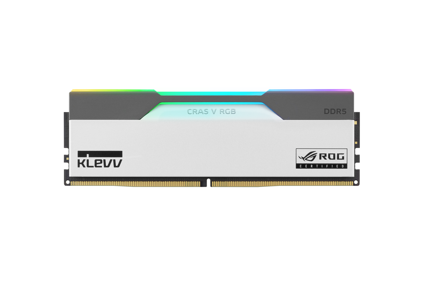 Klevv-Memory-CRAS-V-RGB-ROG-1